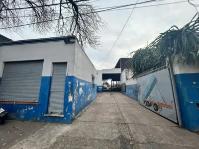Ayolas 500