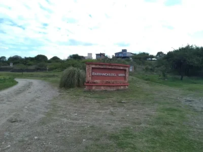 Colectora 100