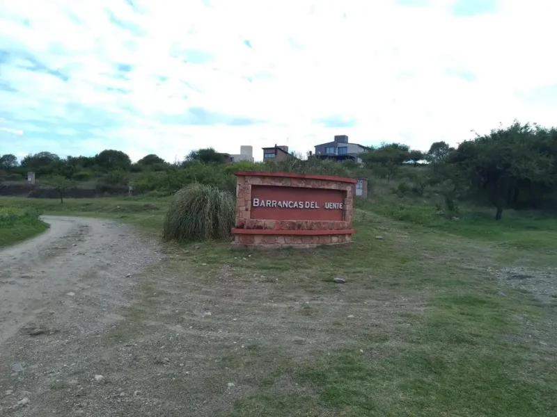 Colectora 100