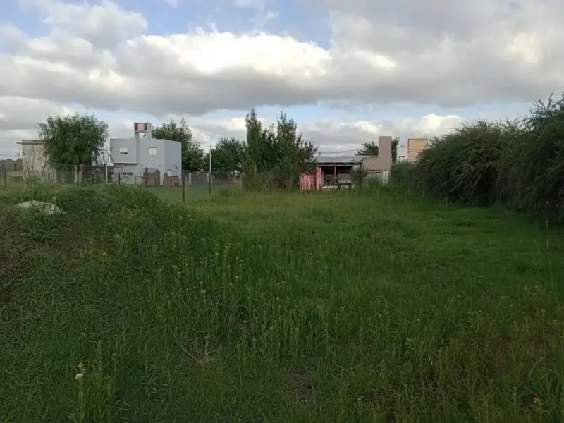 El Bagual