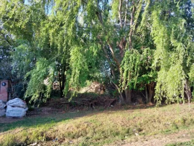 Cnel. Brandsen 5500